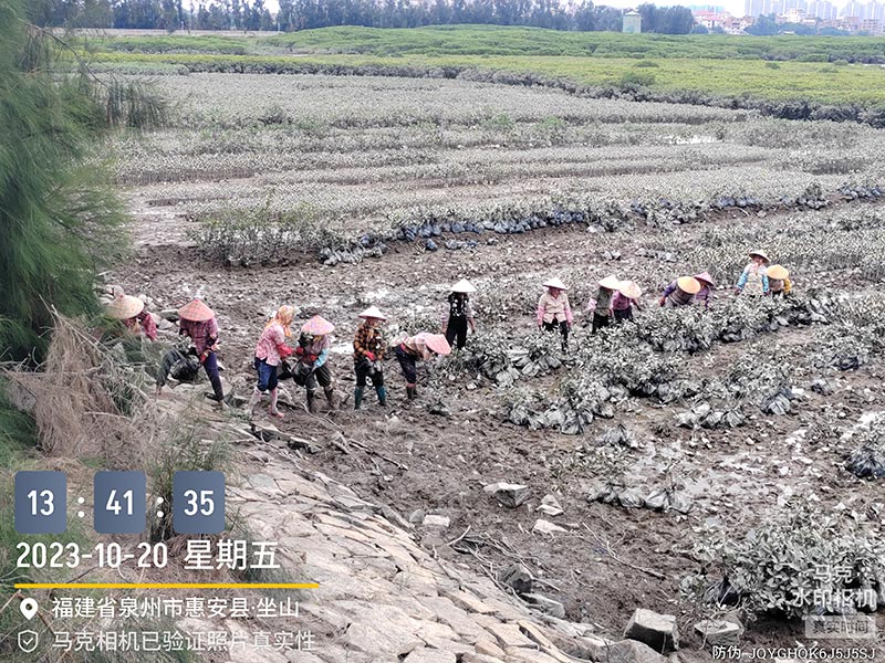 Home-富联平台-职能壮大注册更单一