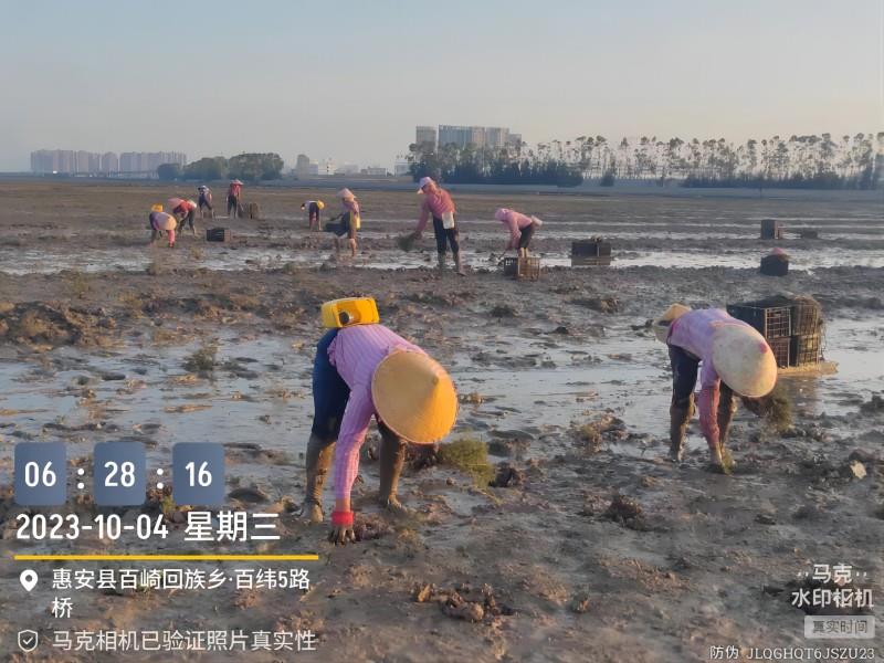 Home-富联平台-职能壮大注册更单一