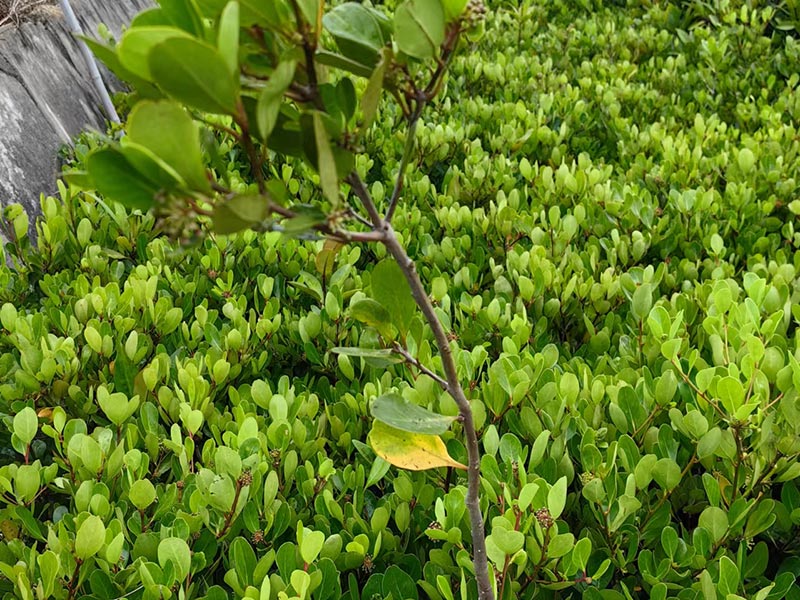 Home-富联平台-职能壮大注册更单一
