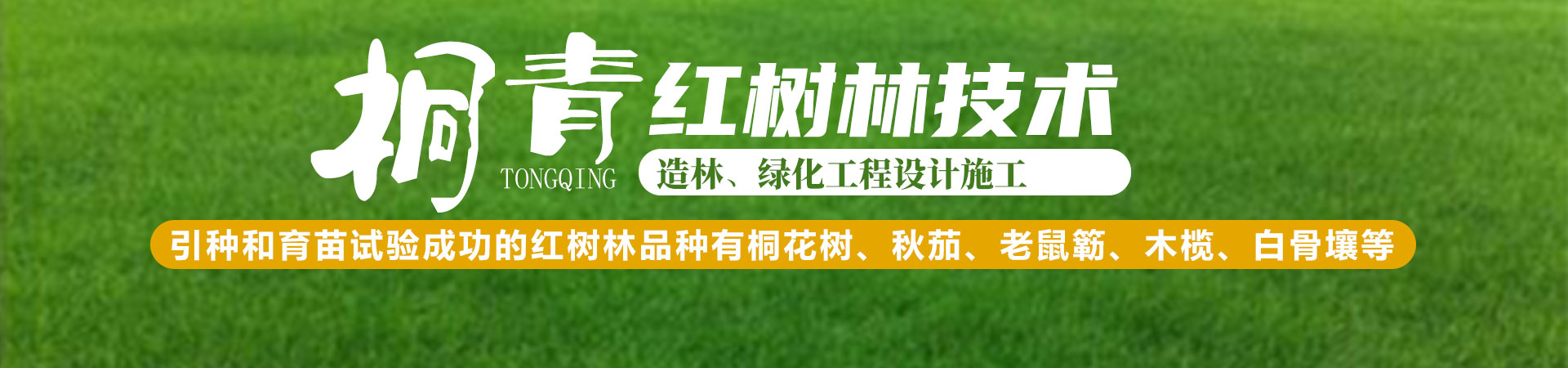 Home-富联平台-职能壮大注册更单一
