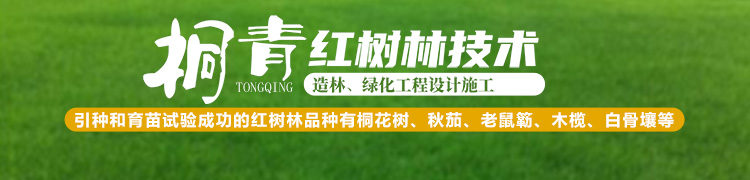 Home-富联平台-职能壮大注册更单一